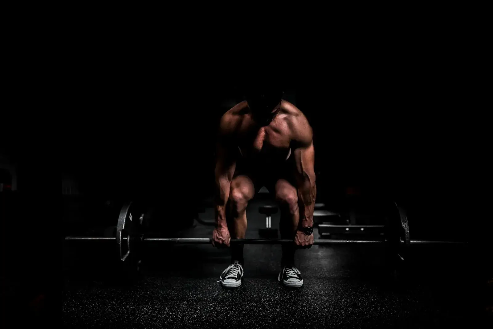 Cartilage Strengthening