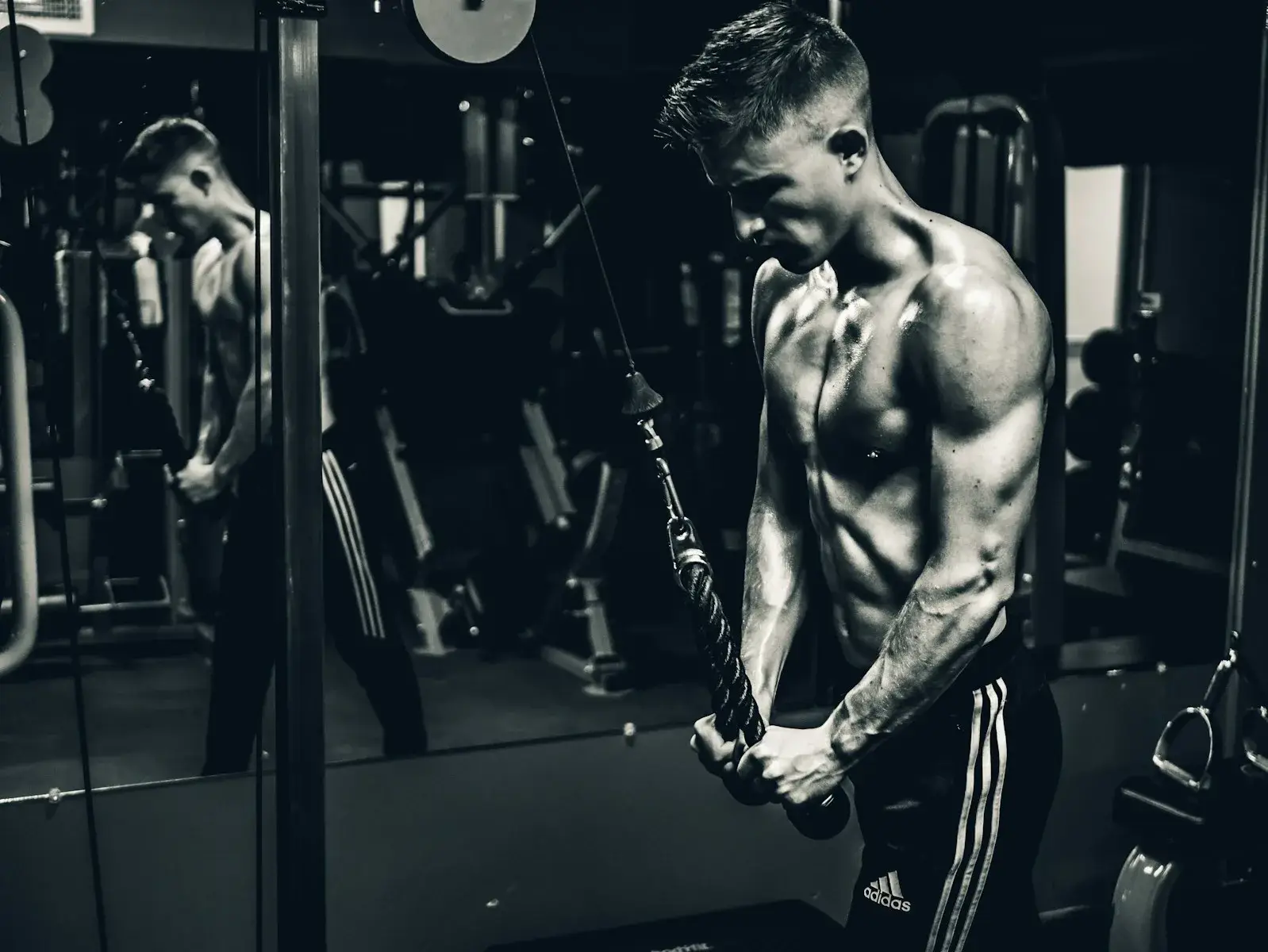 Cartilage Strengthening