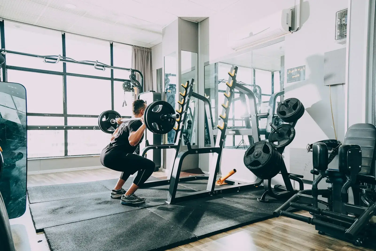 Cartilage Strengthening