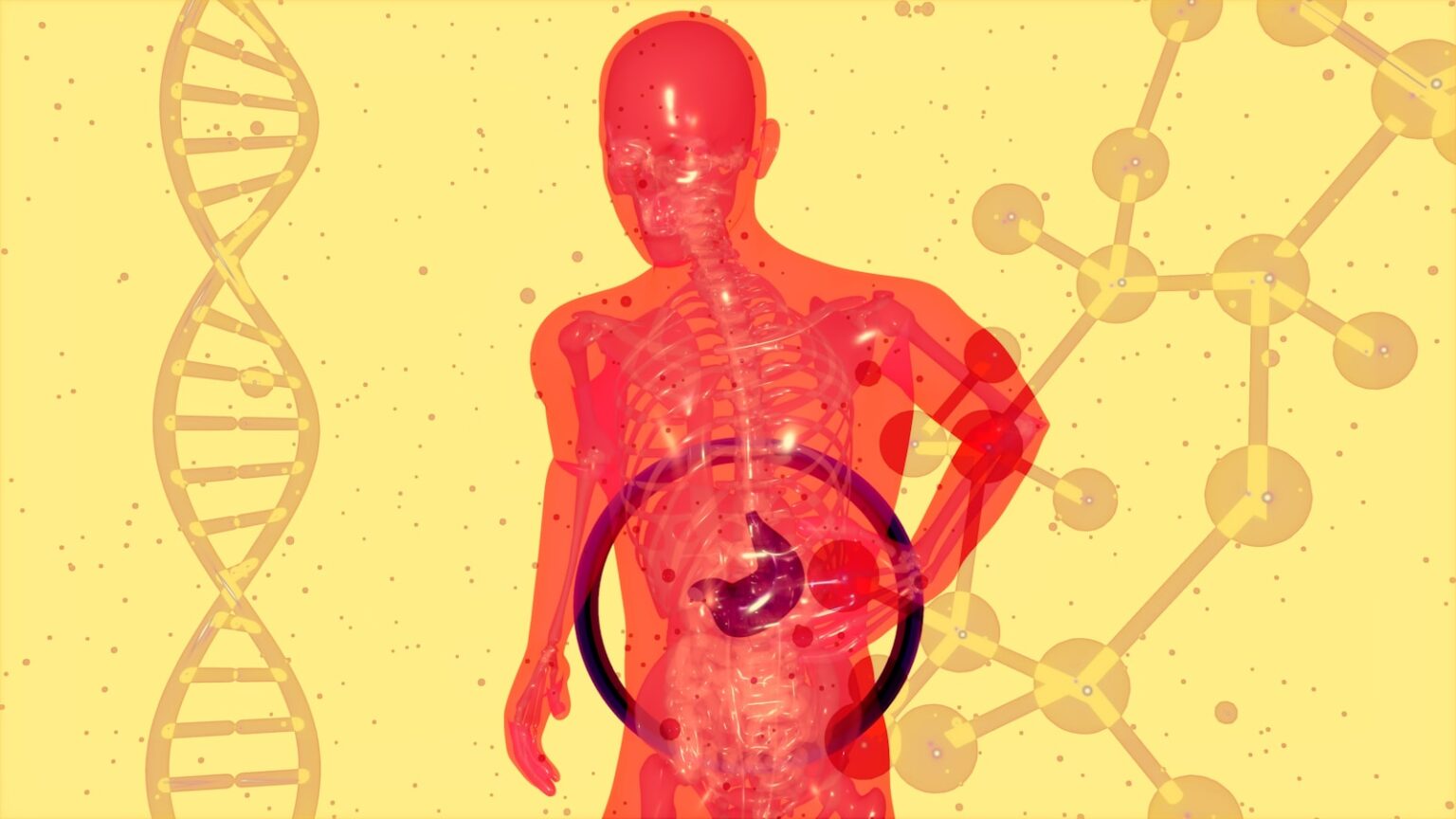 Poor Gut Health Signs and What People Can Do Poor Gut Health
